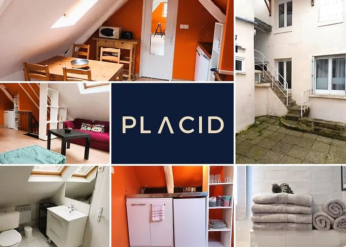 Les Toits De Grecourt - Gare - Wifi - Centre-ville 公寓 图尔